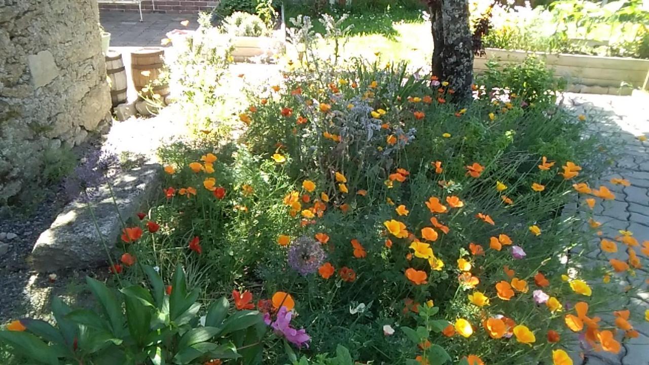 Bed and Breakfast Les Tournesols La Bernardiere Екстер'єр фото